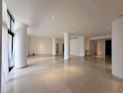 The Colonnade (D10), Condominium #519854061